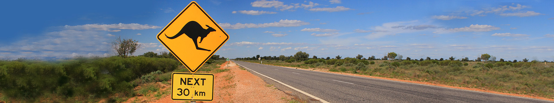 Australien - Kaenguru - Straße